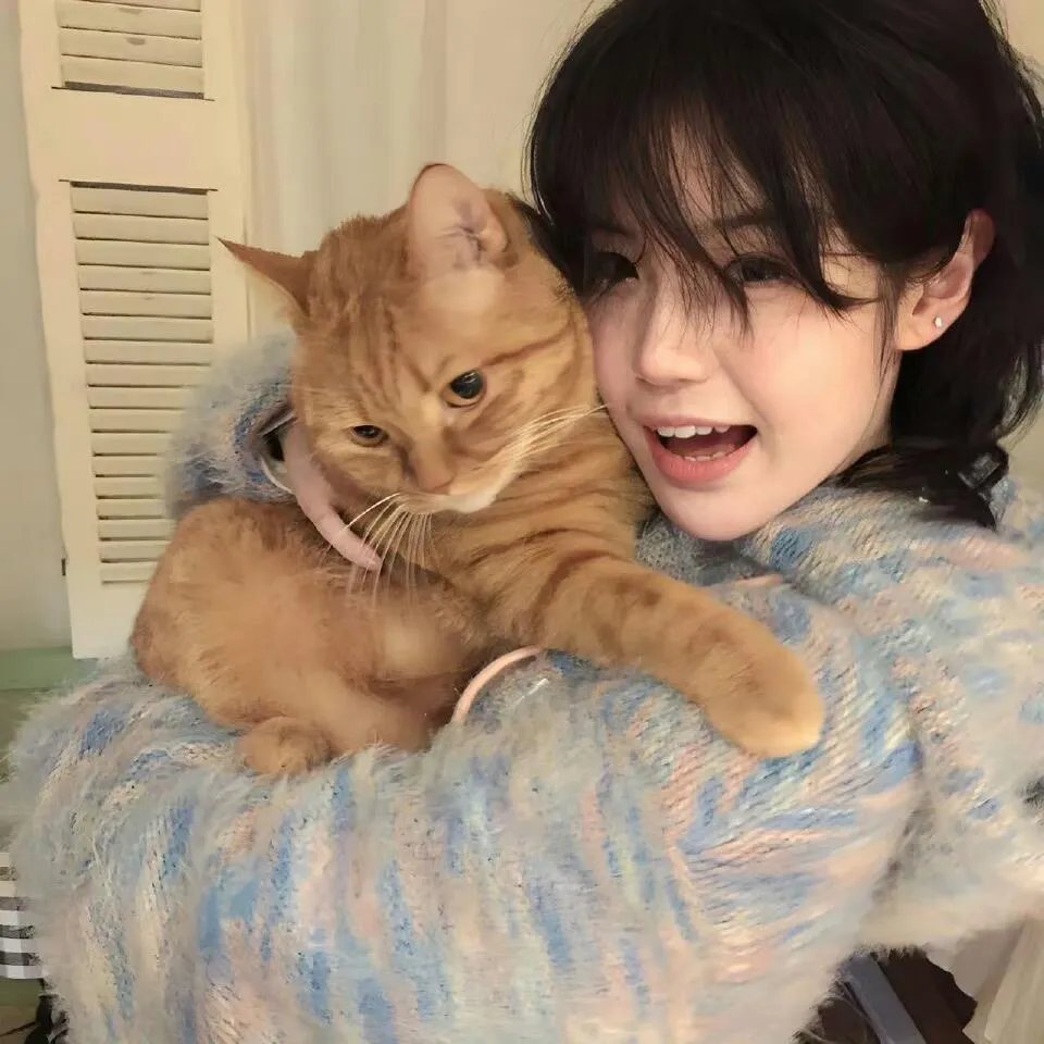 猫侍海报