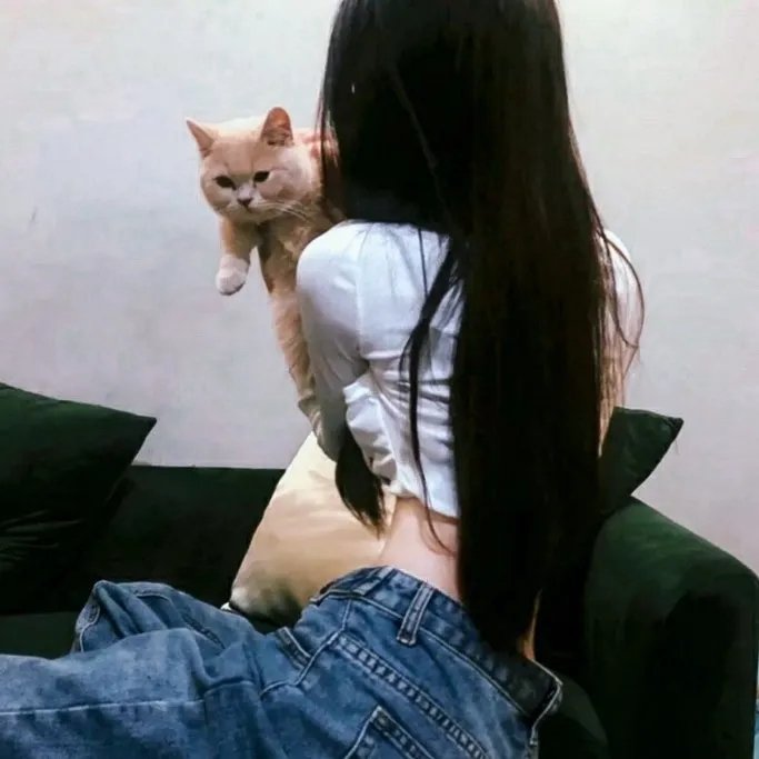 库尔纳兹诉小布什海报