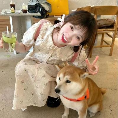 水果篮子第一季海报